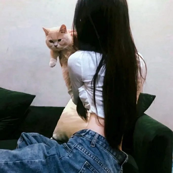 星之海的阿姆莉